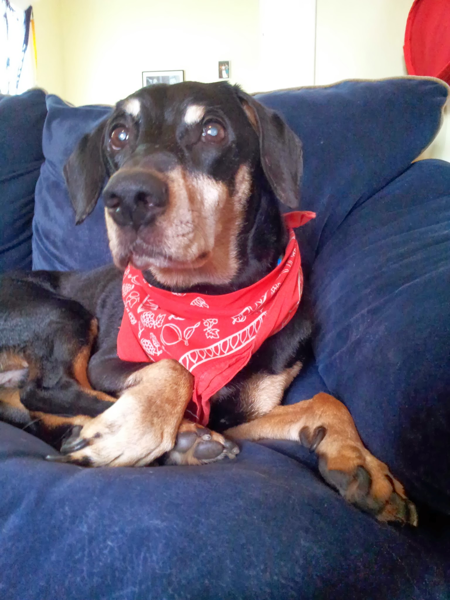 Hullabalooloo event preview